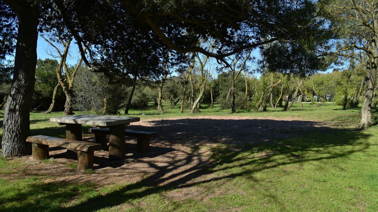 Photo of Outdoor in Portiragnes-Plage