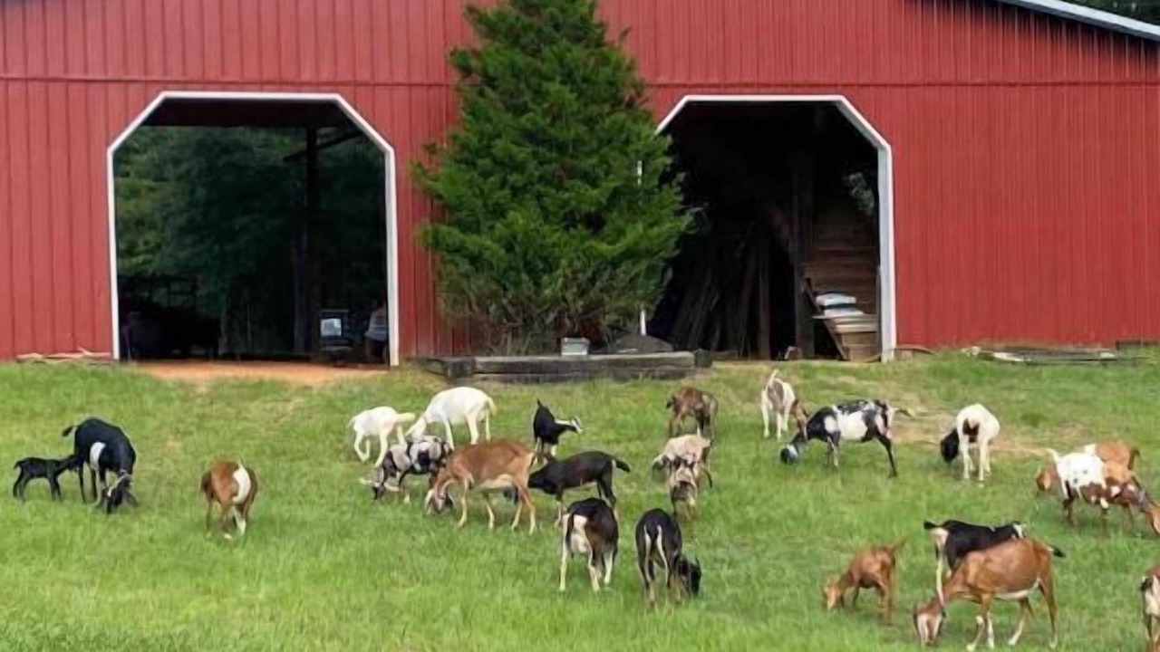 Photo of Others in Hattiesburg
