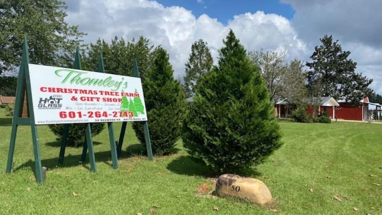 Photo of Outdoor in Hattiesburg