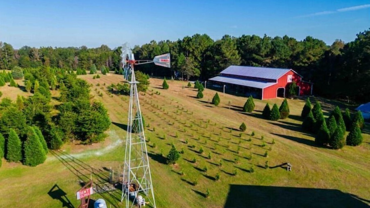 Photo of Outdoor in Hattiesburg