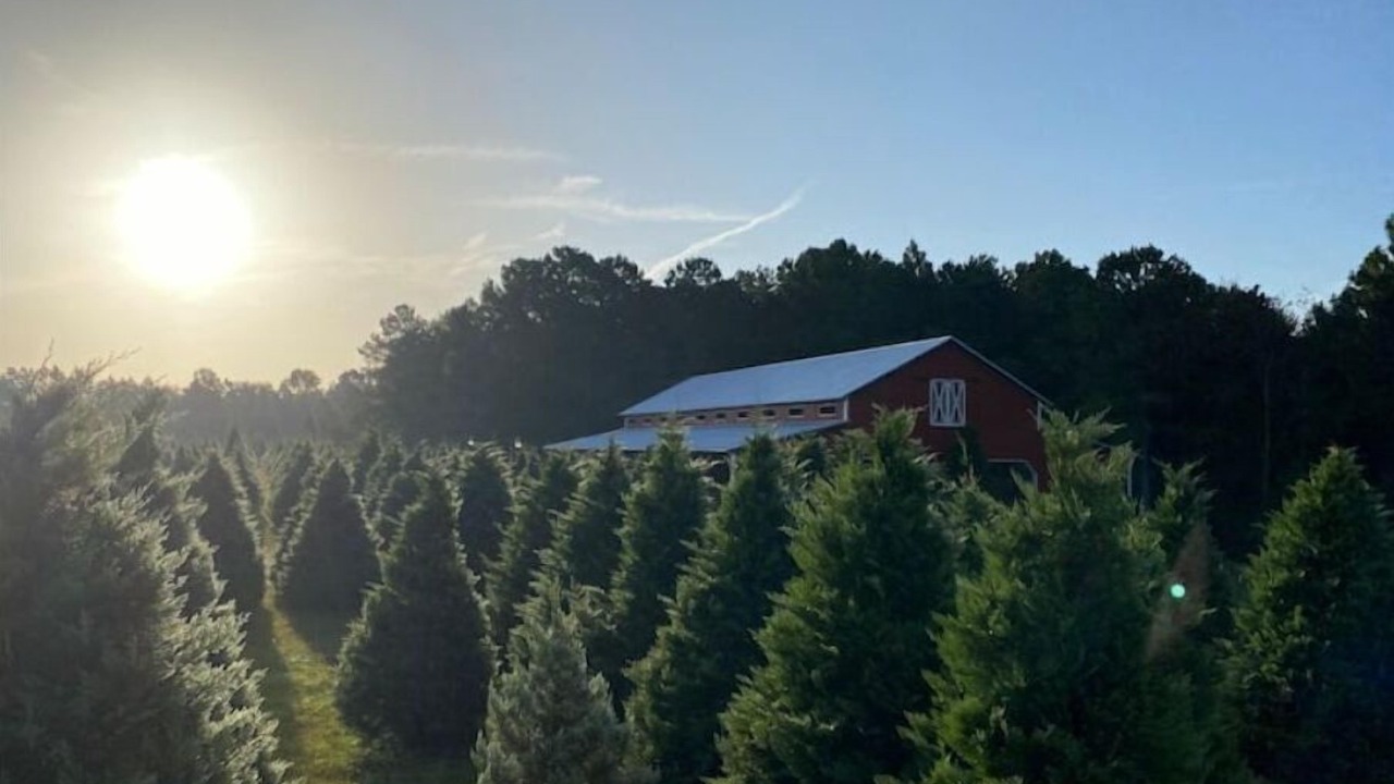 Photo of Outdoor in Hattiesburg
