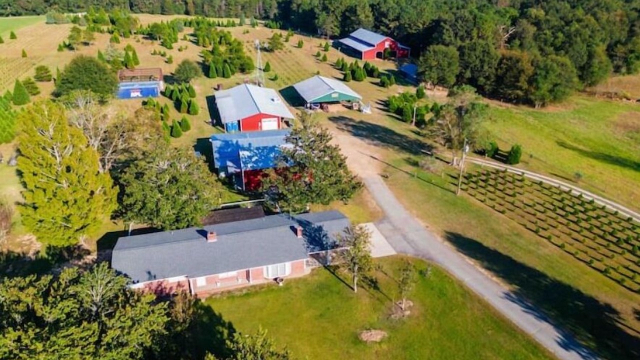 Photo of Outdoor in Hattiesburg
