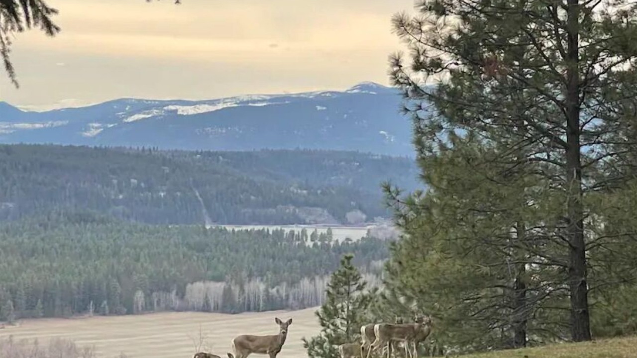 Photo of Outdoor in Boundary County