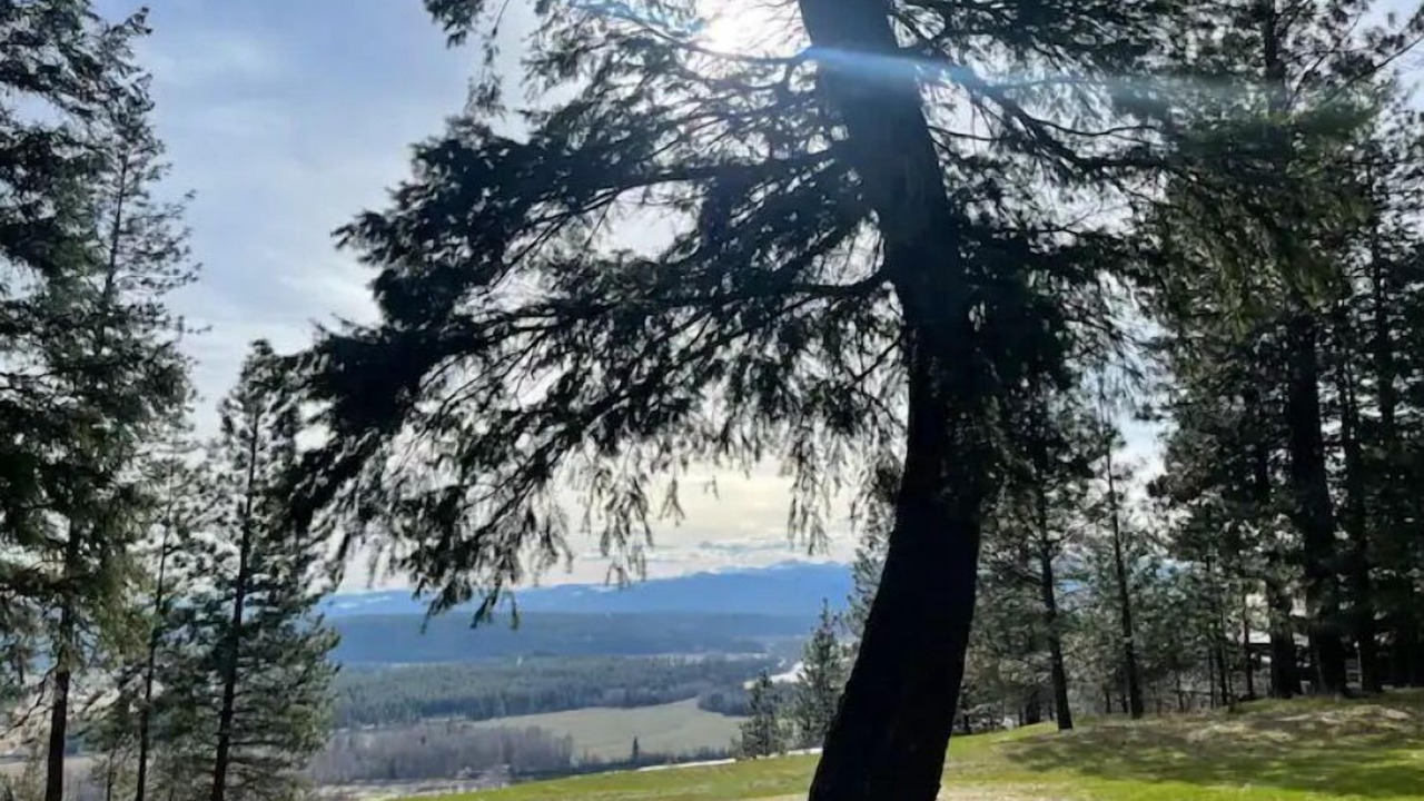 Photo of Others in Boundary County