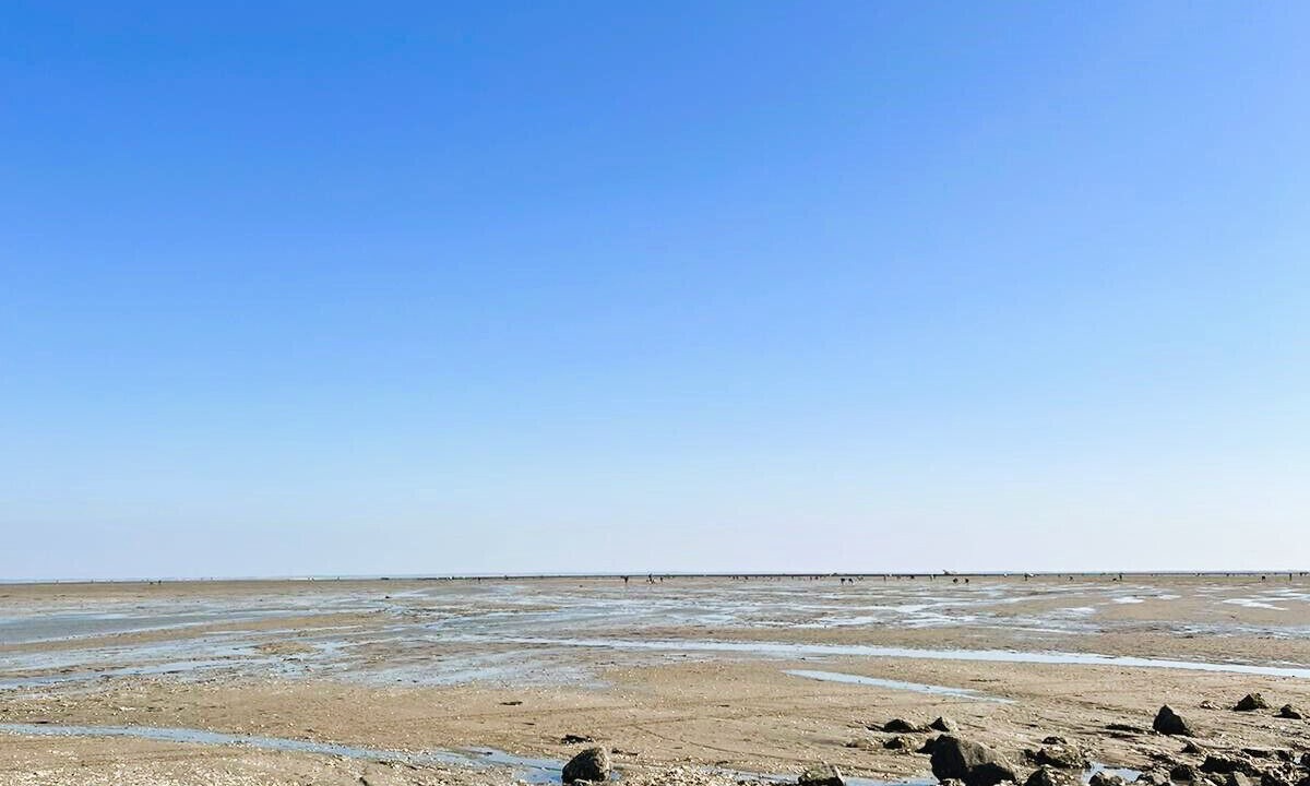Photo of Others in Barbatre