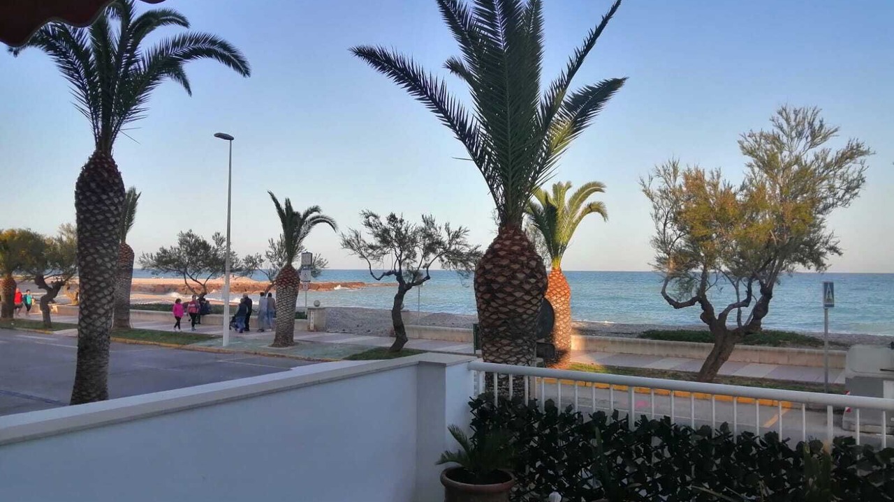 Photo of Outdoor in El Grau de Moncofa