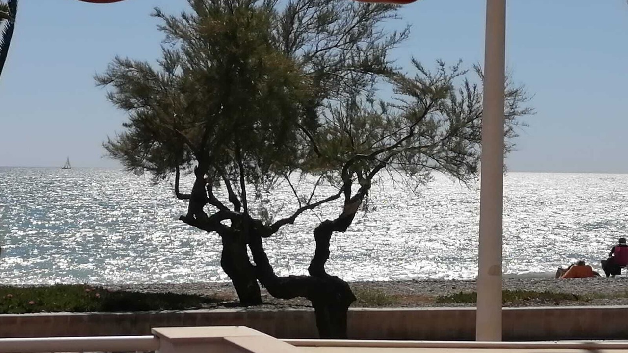 Photo of Outdoor in El Grau de Moncofa