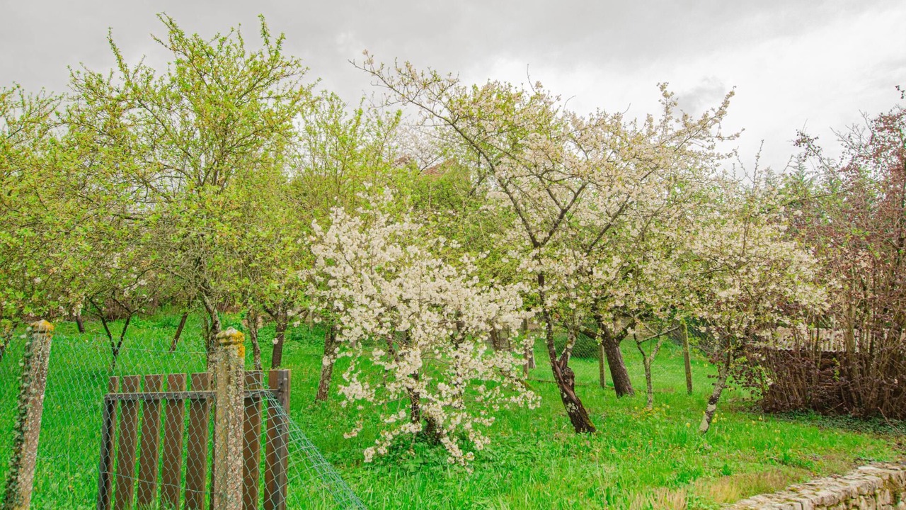 Photo of Outdoor in Clerey
