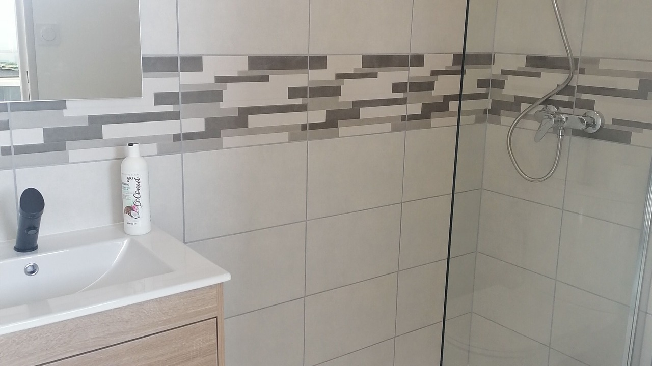 Photo of Bathroom in Roanne