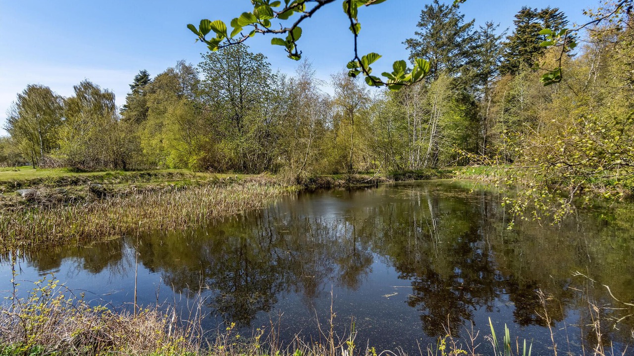 Photo of Others in Bindslev