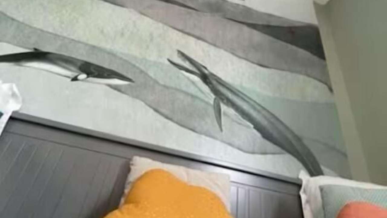 Photo of Bedroom in Mers-les-Bains