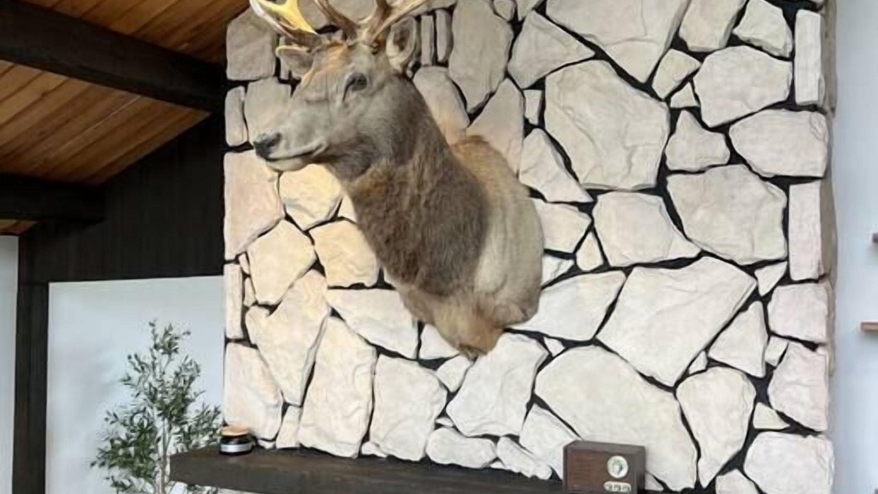 Photo of Others in Sequim