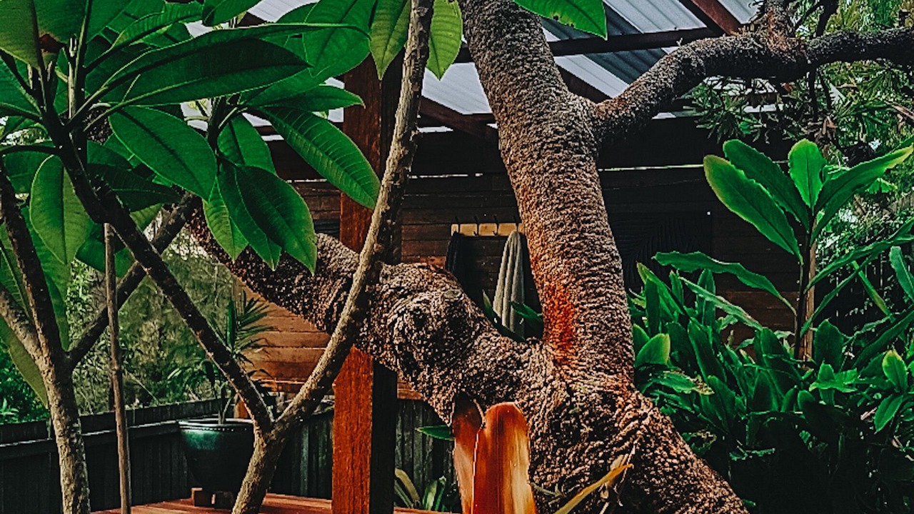 Photo of Outdoor in Sunrise Beach