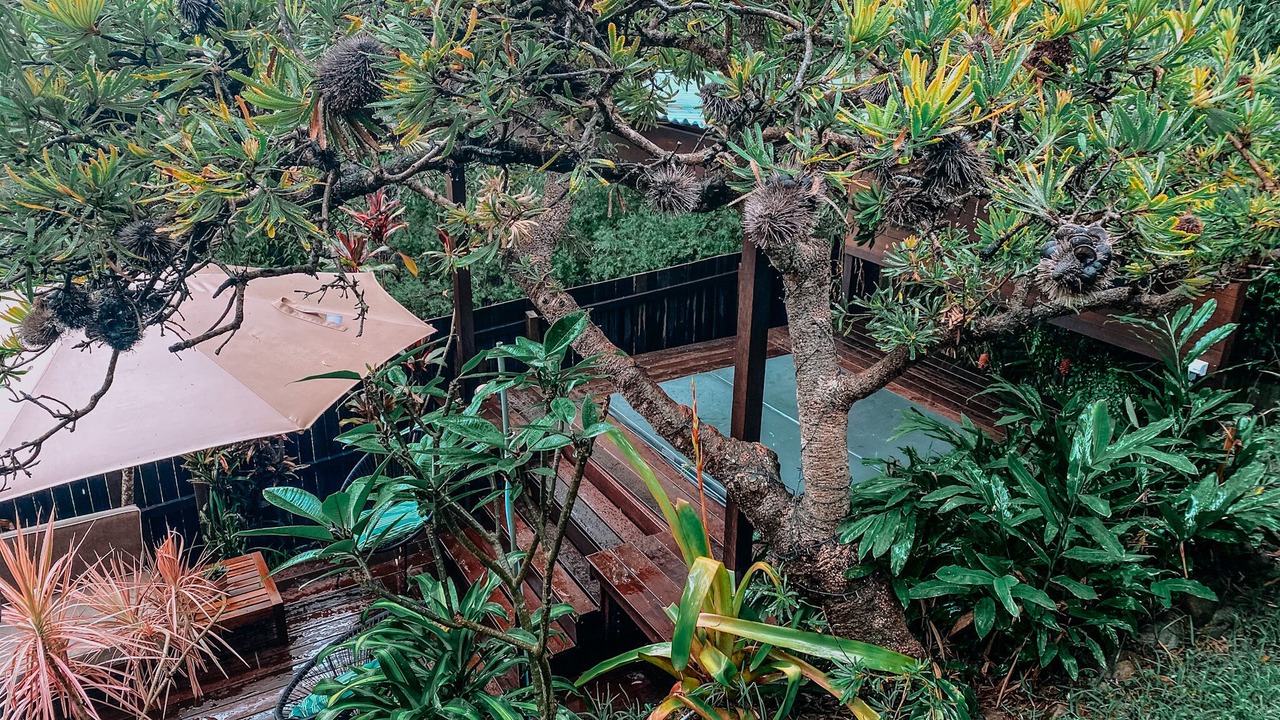 Photo of Outdoor in Sunrise Beach