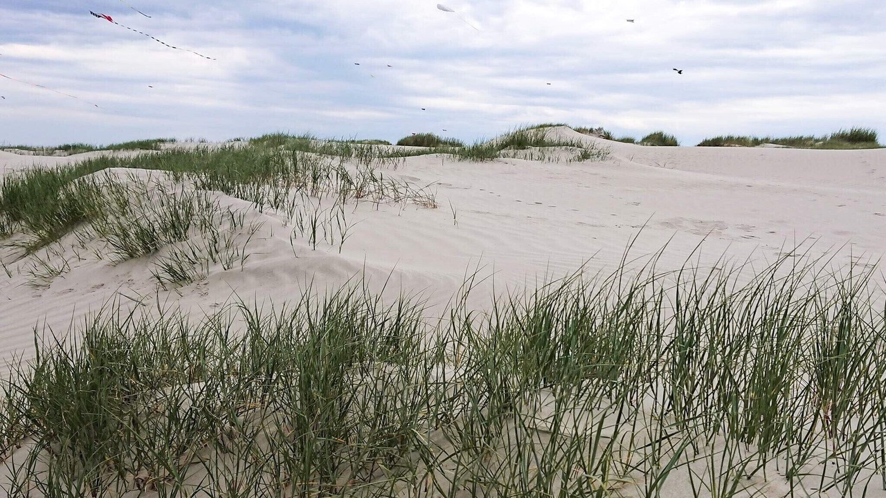 Photo of Others in Rindby Strand