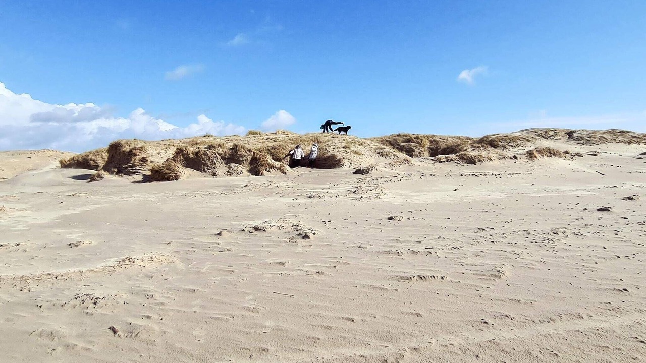 Photo of Others in Rindby Strand