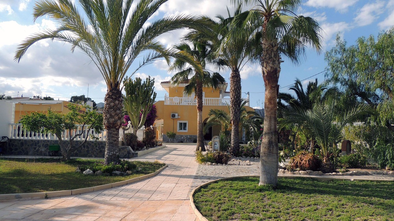 Photo of Outdoor in Albatera