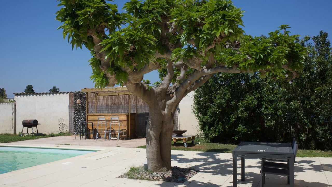 Photo of Outdoor in Elne