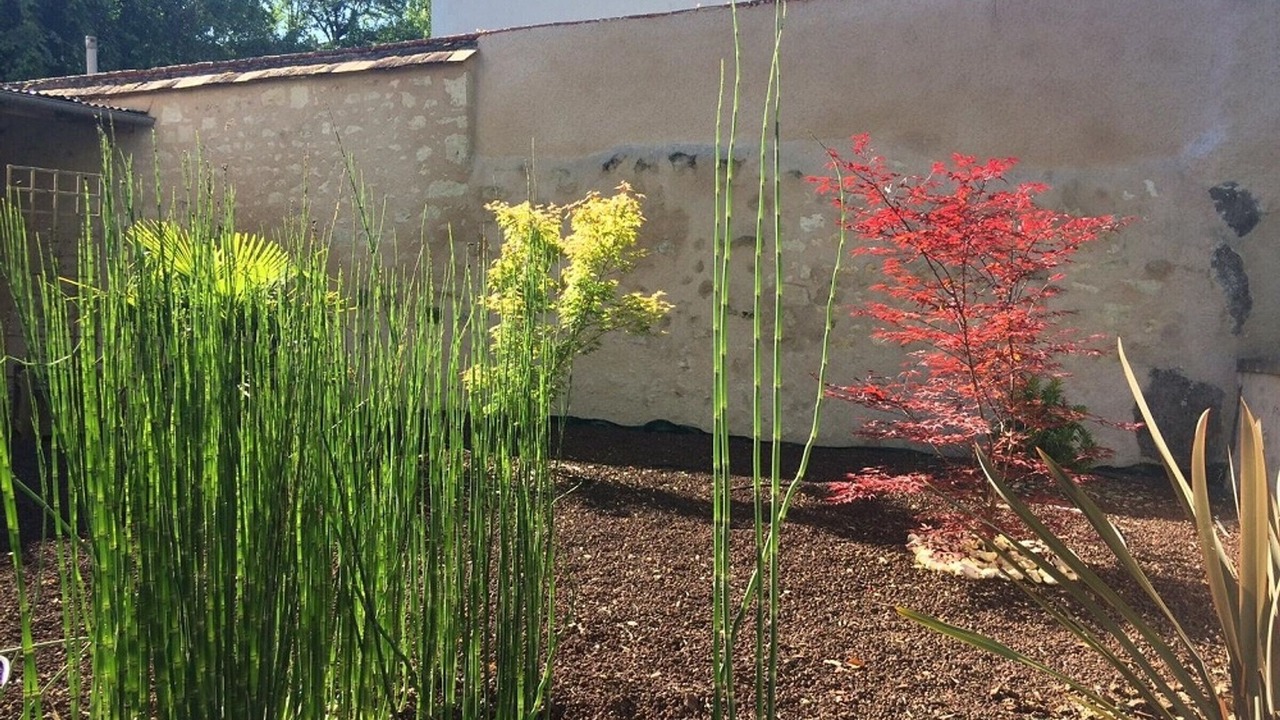 Photo of Outdoor in La Roche-Posay