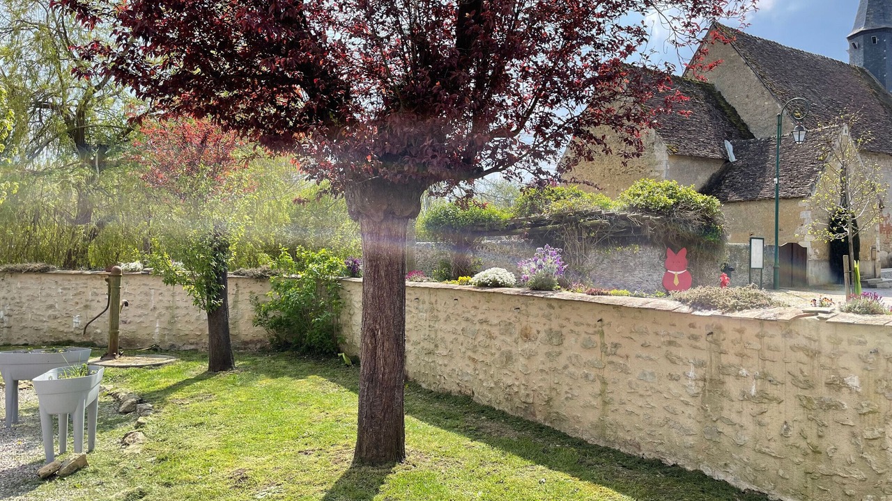 Photo of Outdoor in Mezieres-sur-Ponthouin