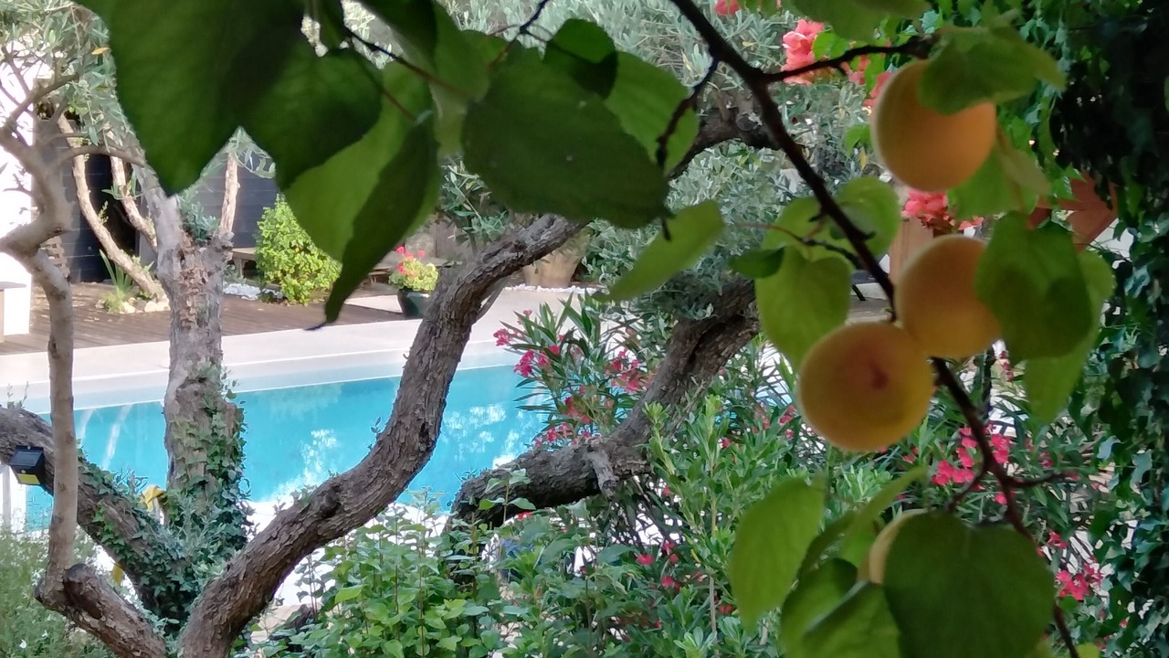 Photo of Outdoor in Saint-Bauzille-de-Montmel