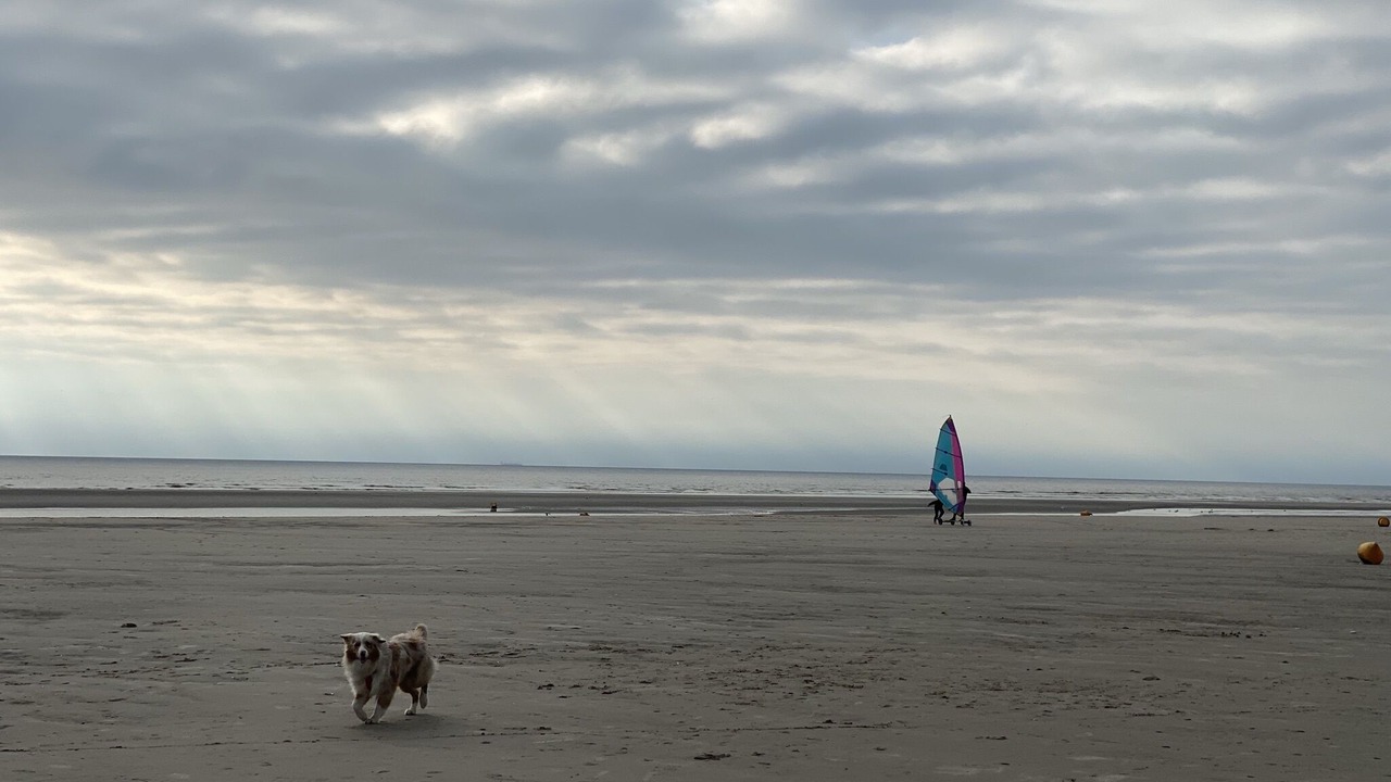Photo of Others in Hardelot-Plage