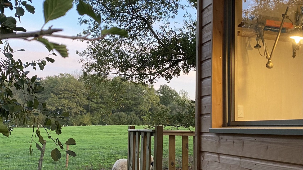 Photo of Outdoor in Cholet
