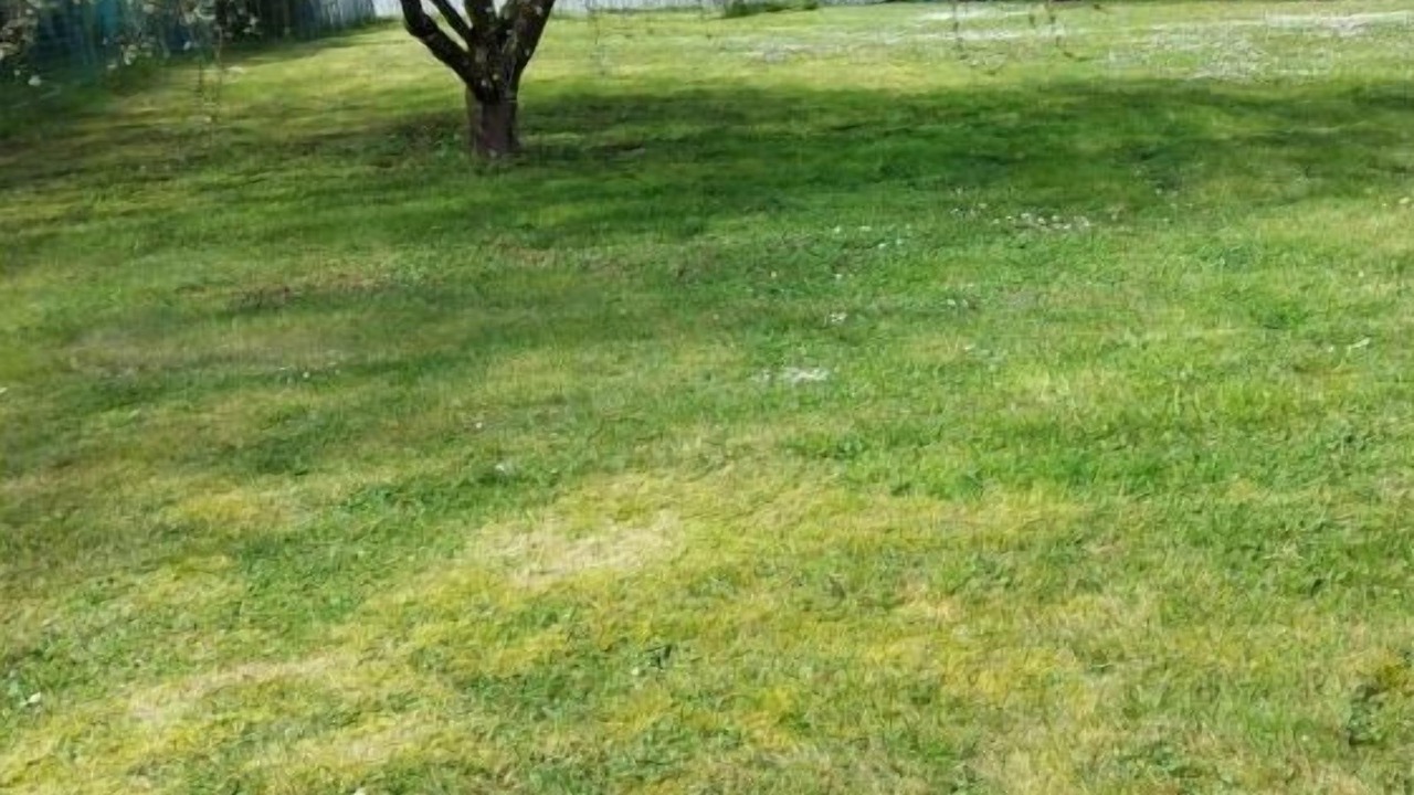 Photo of Outdoor in Sompuis