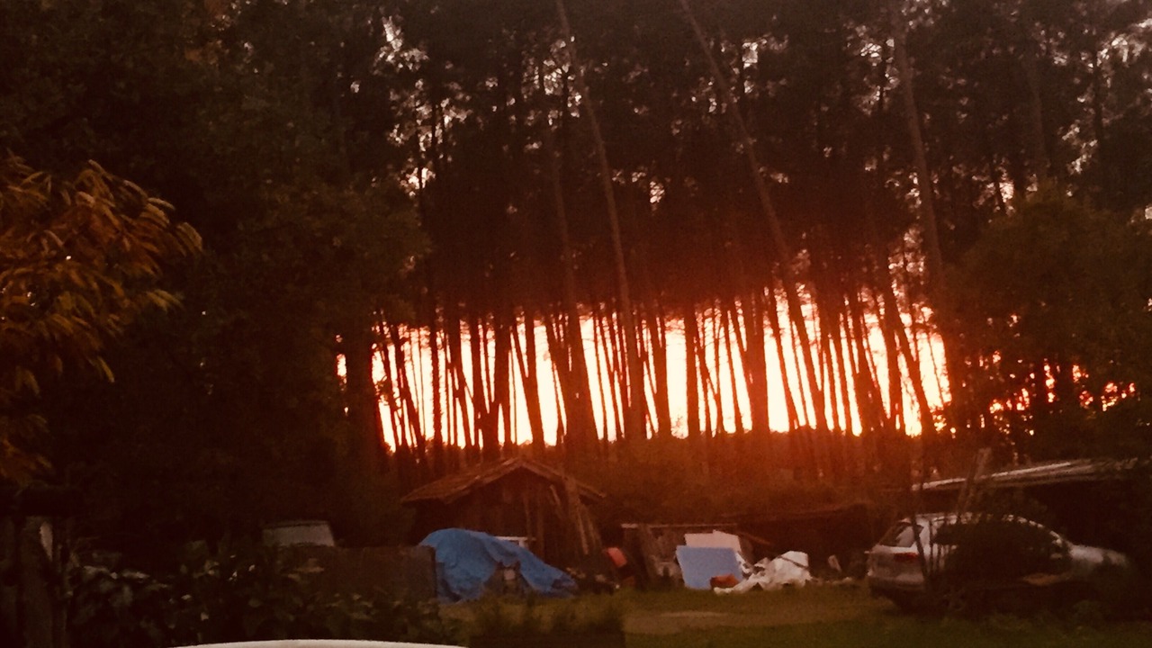 Photo of Outdoor in Gastes