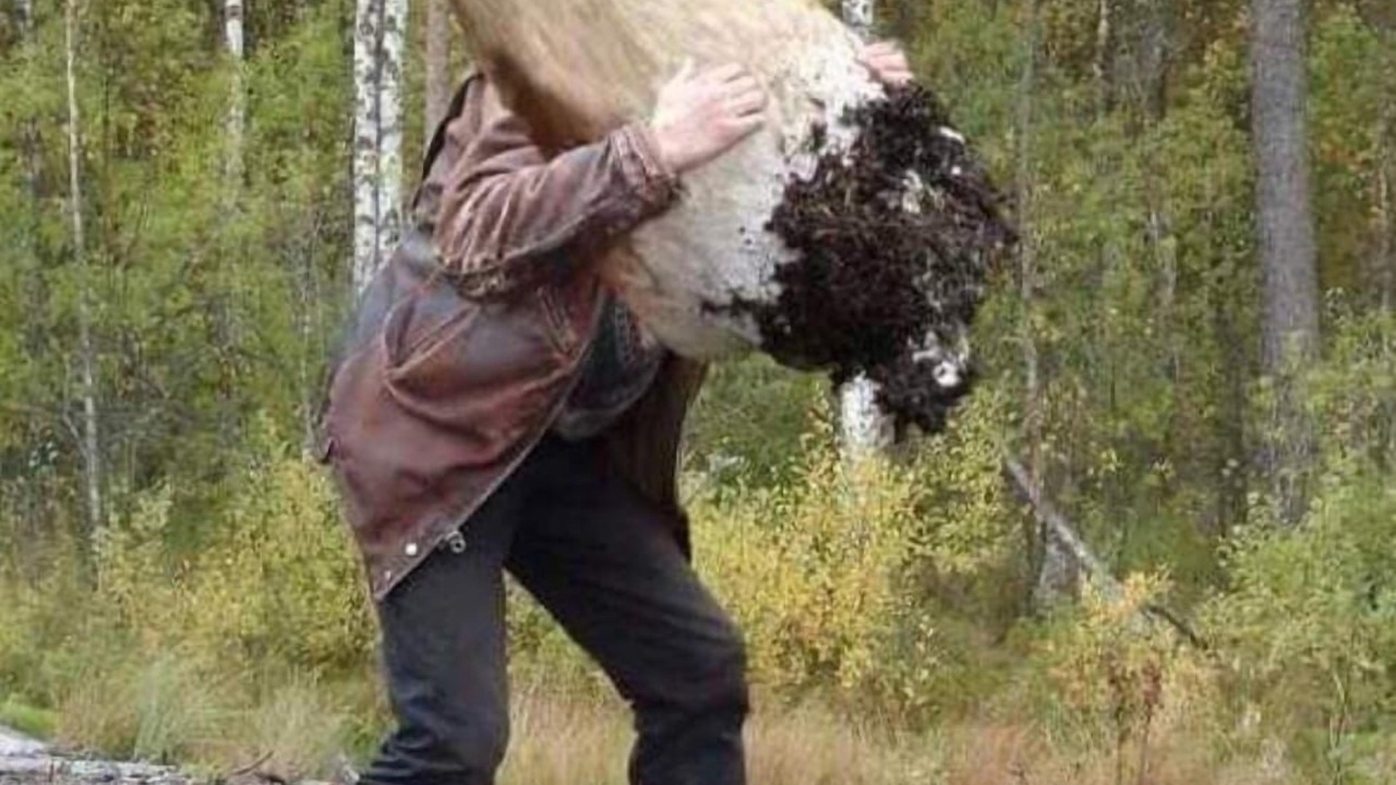 Photo of Others in Gastes
