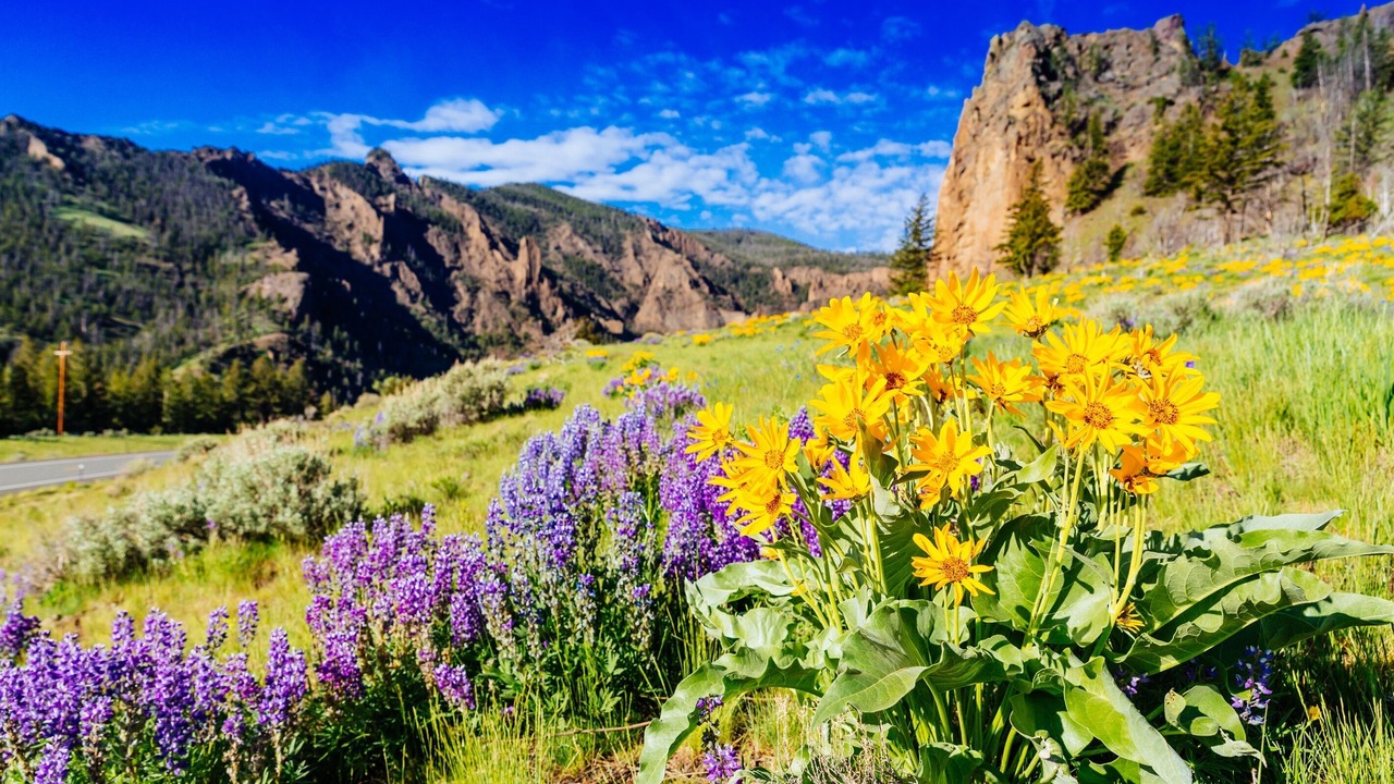 Photo of Others in Big Sky