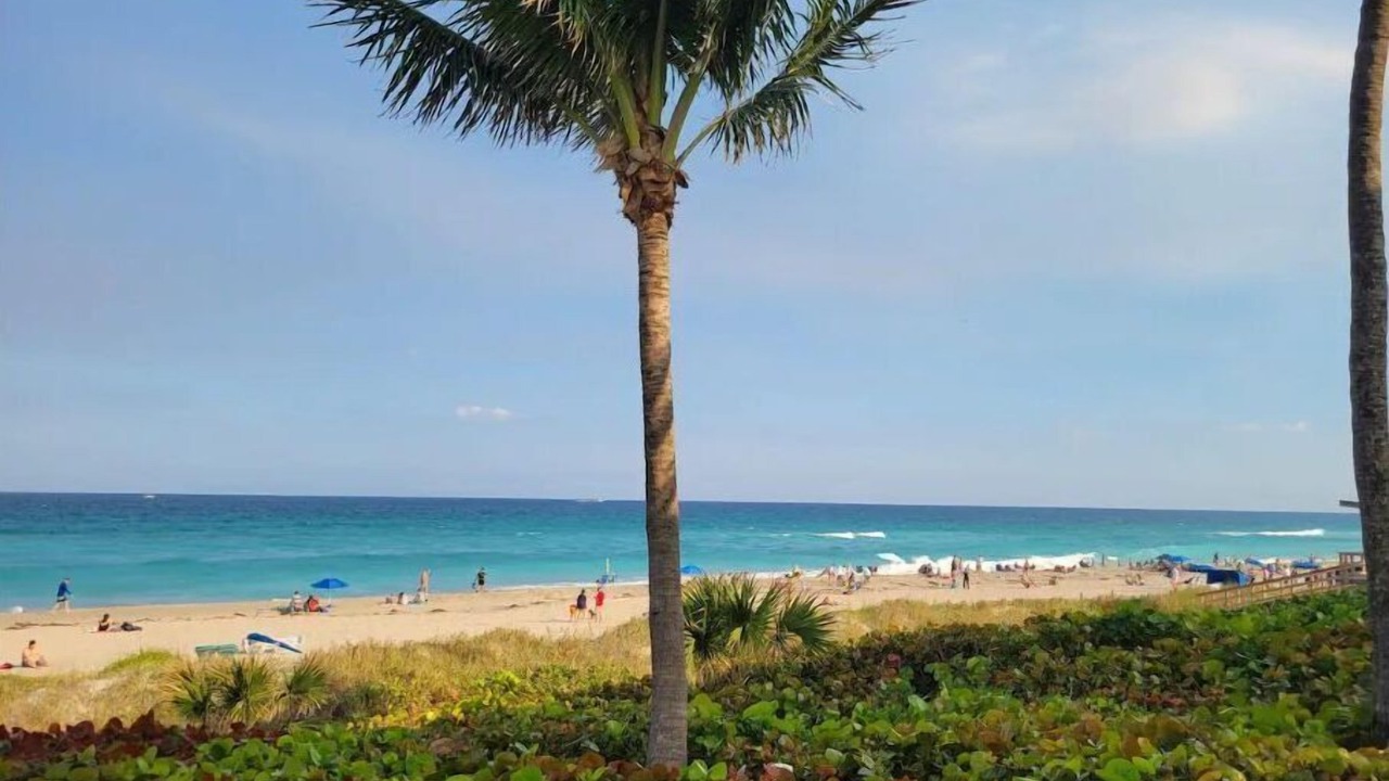 Photo of Others in Lake Worth Corridor