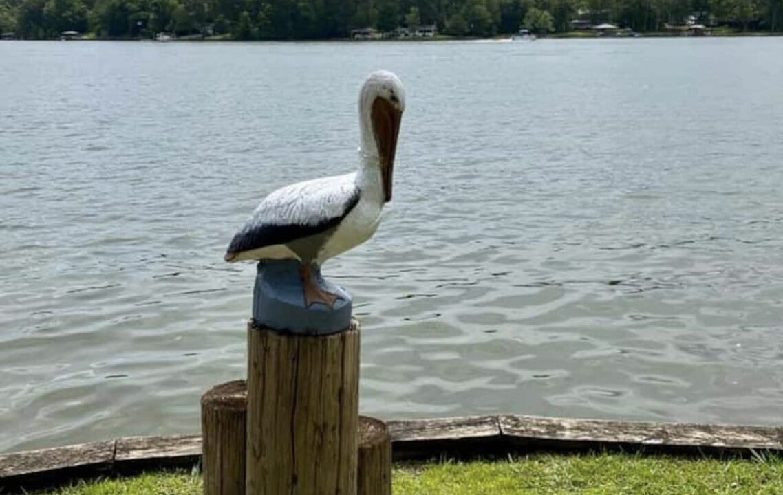 Photo of Outdoor in Covington