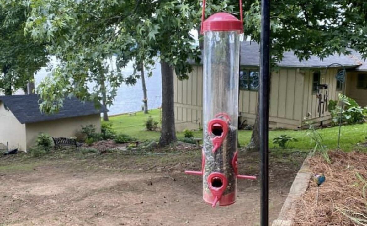 Photo of Outdoor in Covington