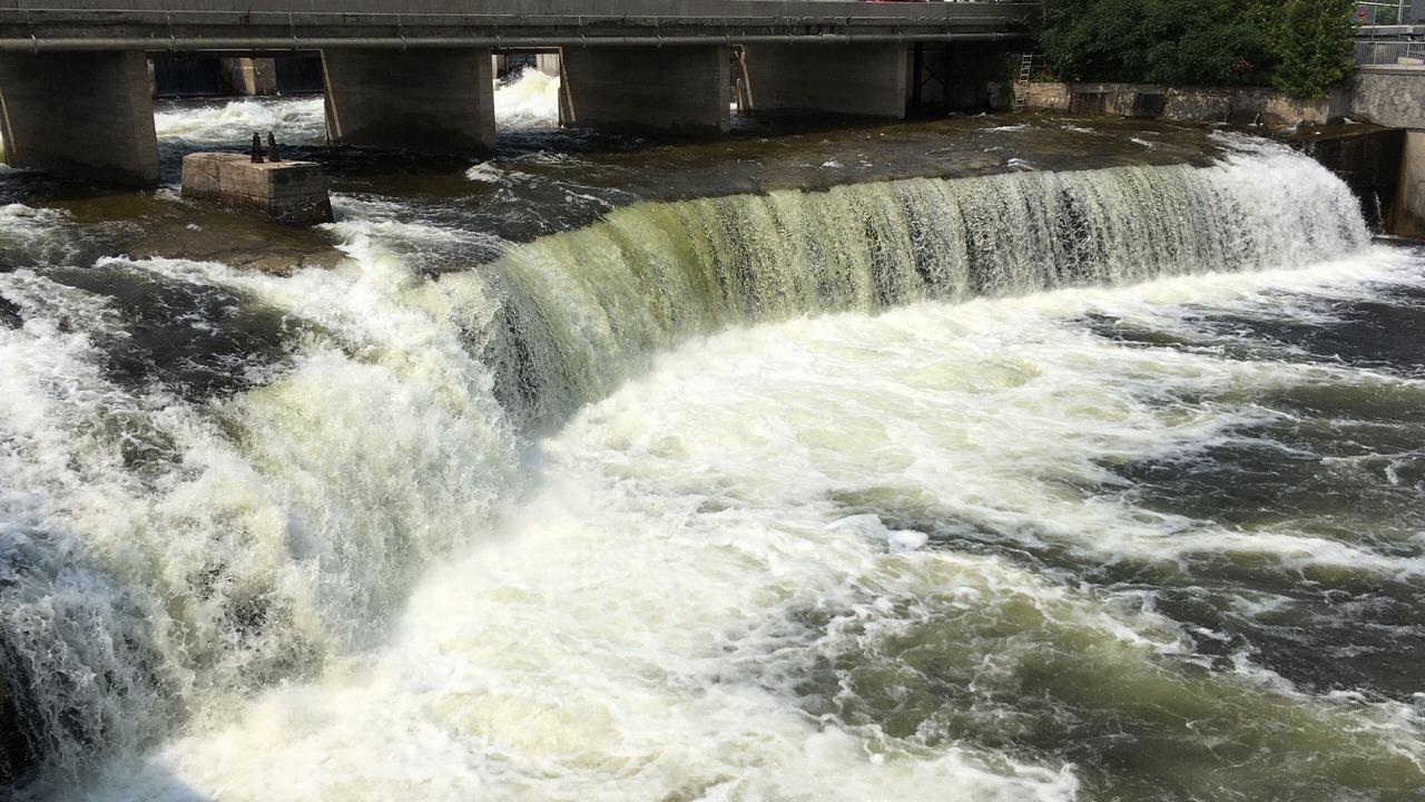 Photo of Others in Fenelon Falls