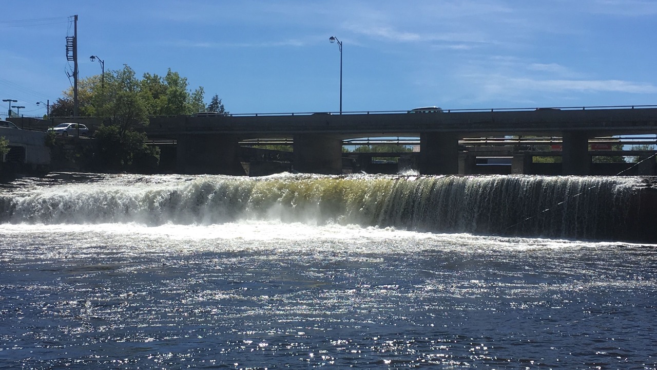 Photo of Others in Fenelon Falls