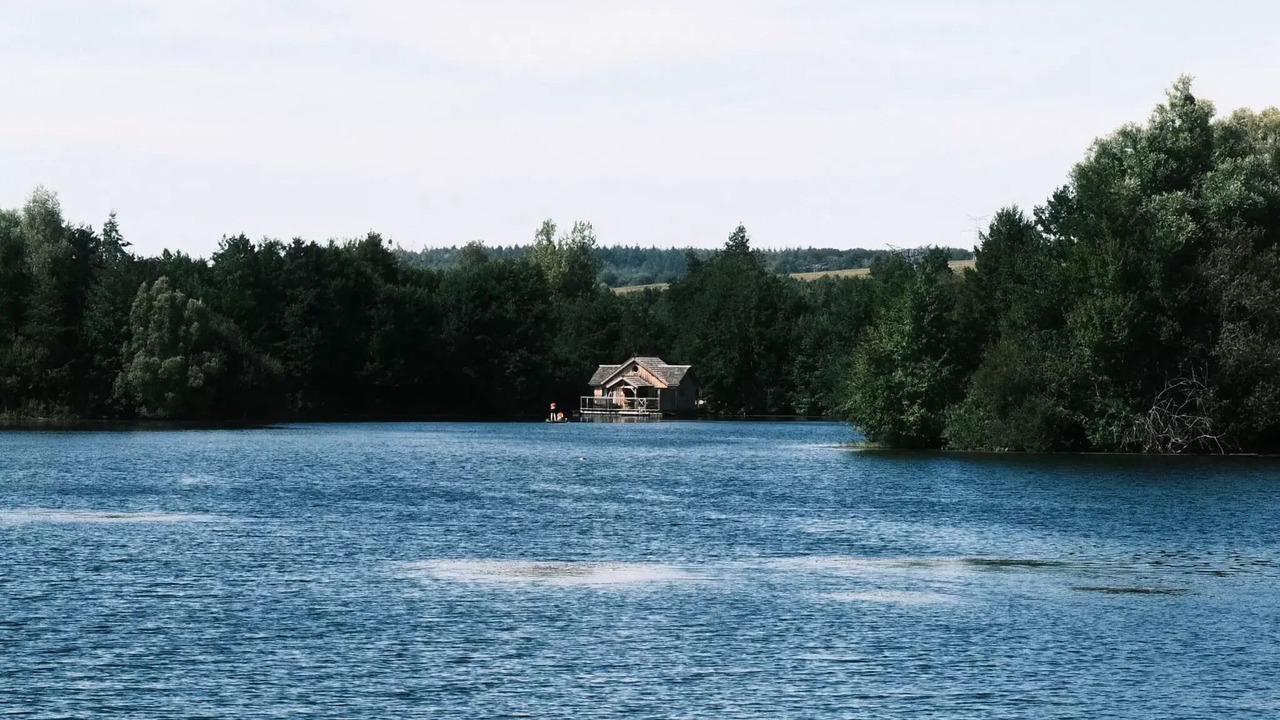 Photo of Others in Beauchamps