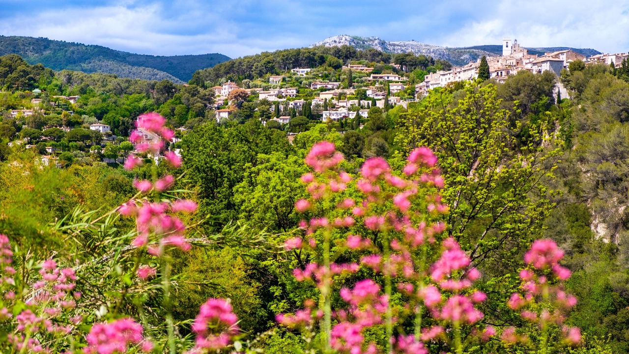 Photo of Others in Saint-Paul-de-Vence