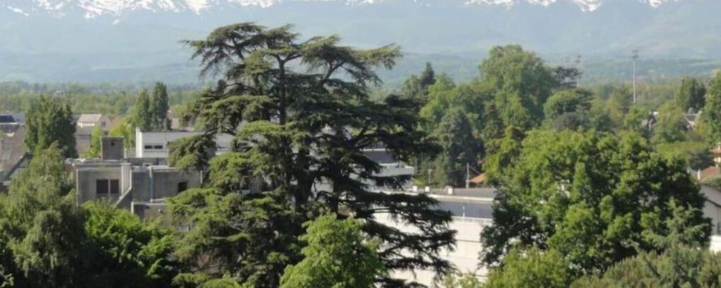Photo of Outdoor in Tarbes