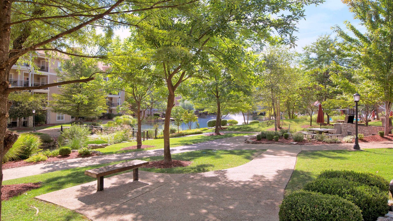 Photo of Outdoor in Table Rock