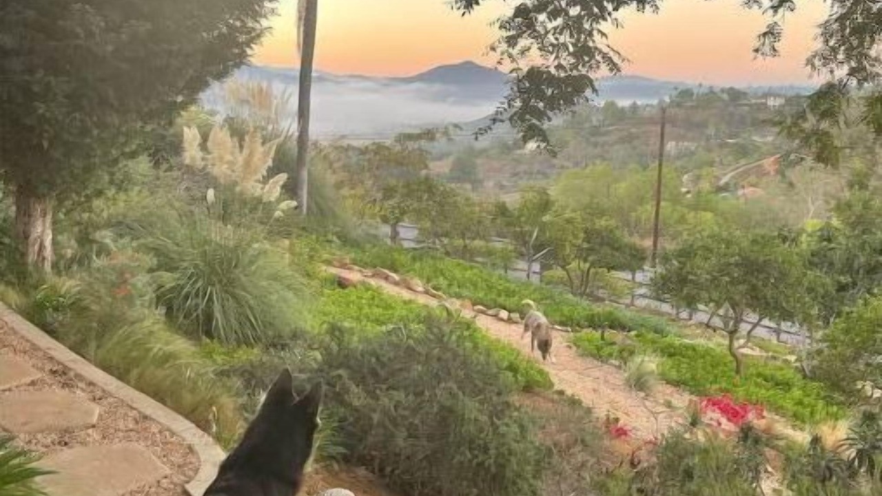 Photo of Others in Escondido