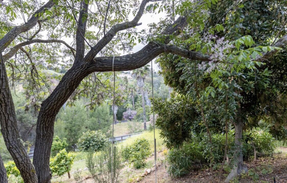 Photo of Outdoor in Escondido