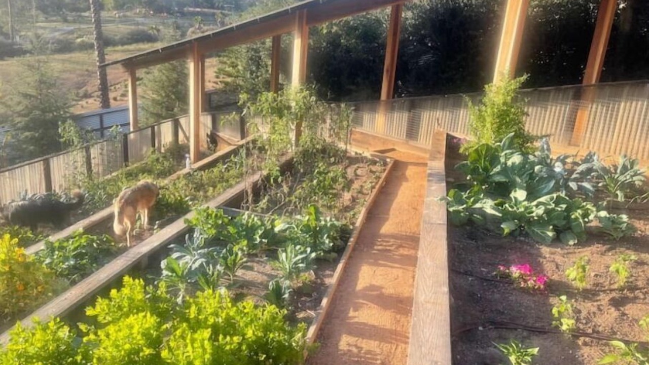 Photo of Outdoor in Escondido