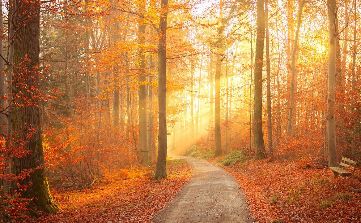 Photo of Others in Saint-Paul-de-Varces