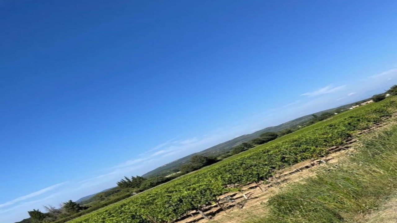 Photo of Others in Gaujac