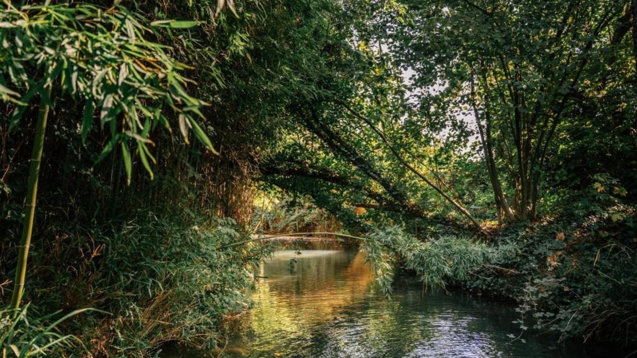 Photo of Others in Gaujac