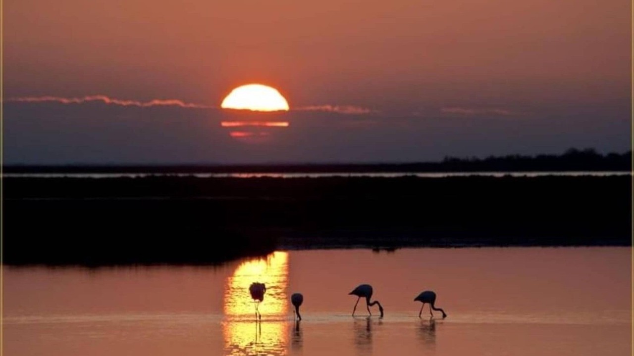 Photo of Others in Gaujac