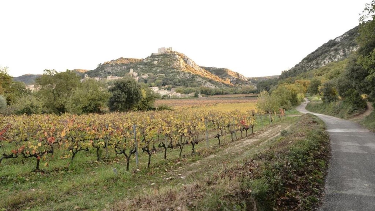 Photo of Others in Gaujac