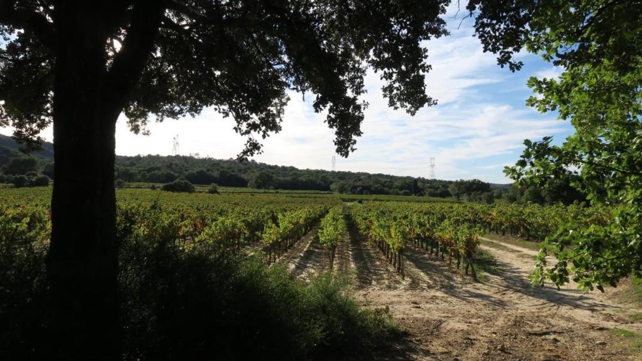 Photo of Others in Gaujac