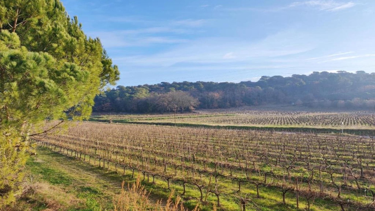 Photo of Others in Gaujac